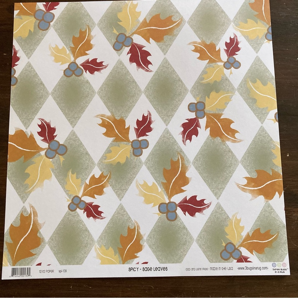 3 BUGS IN A RUG • Scrapbook Kit - Picture 5 of 10